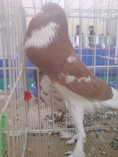 10898416_VQNVHFTIT