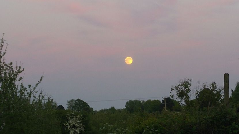  - MALVERN HILLS