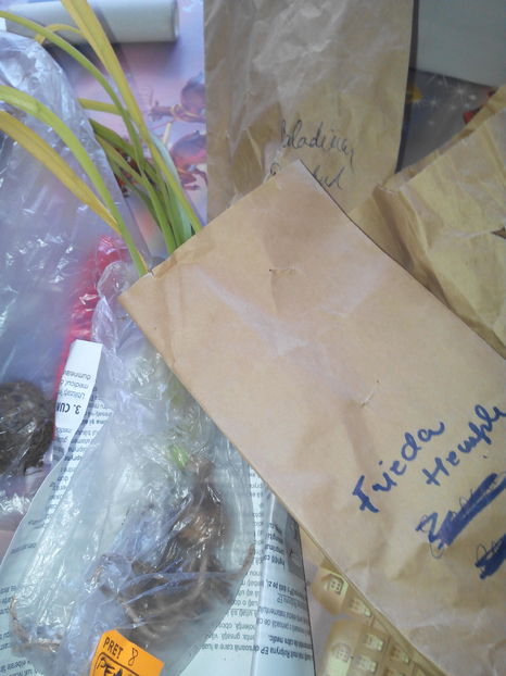  - Achizitie de la Diana 2017