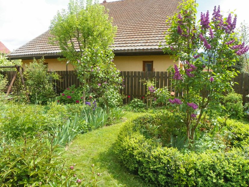 11 mai (70) - Gradina 2017