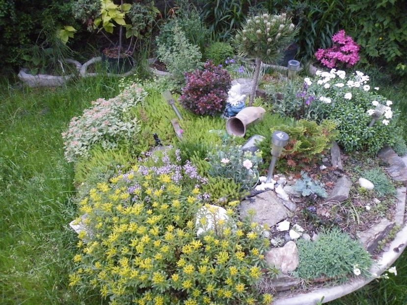  - 2017 in gradina mea