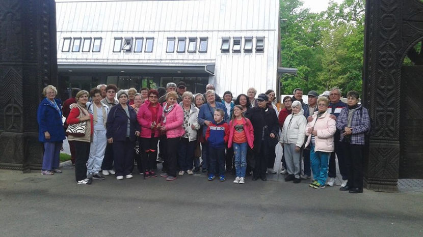 Dumbrava Sibiu - Excursie de o zi in SIBIU