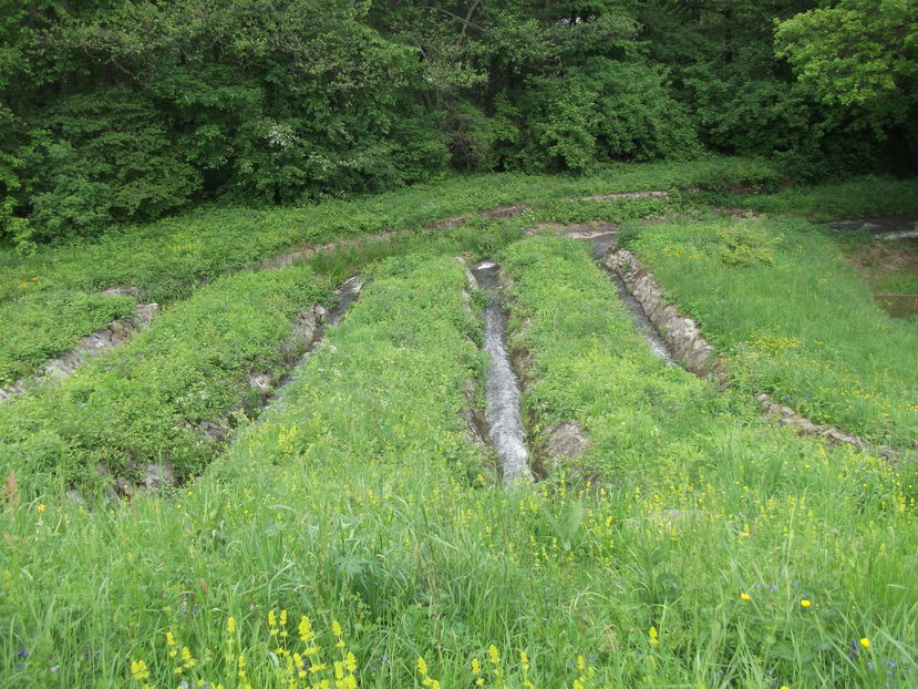  - Excursie de o zi in SIBIU