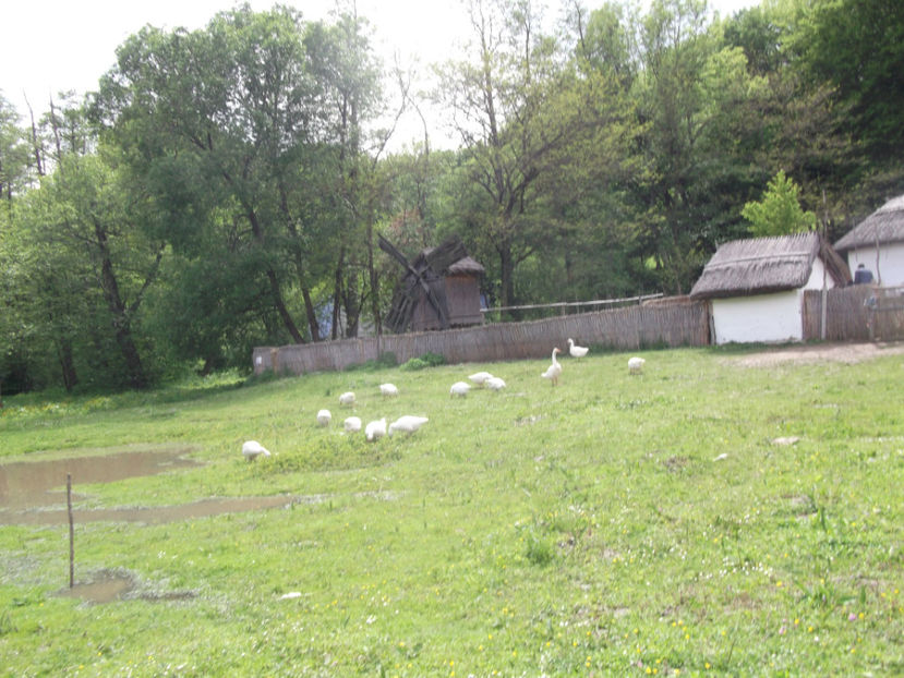  - Excursie de o zi in SIBIU