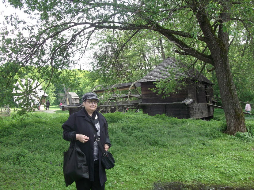  - Excursie de o zi in SIBIU