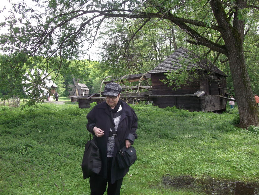  - Excursie de o zi in SIBIU