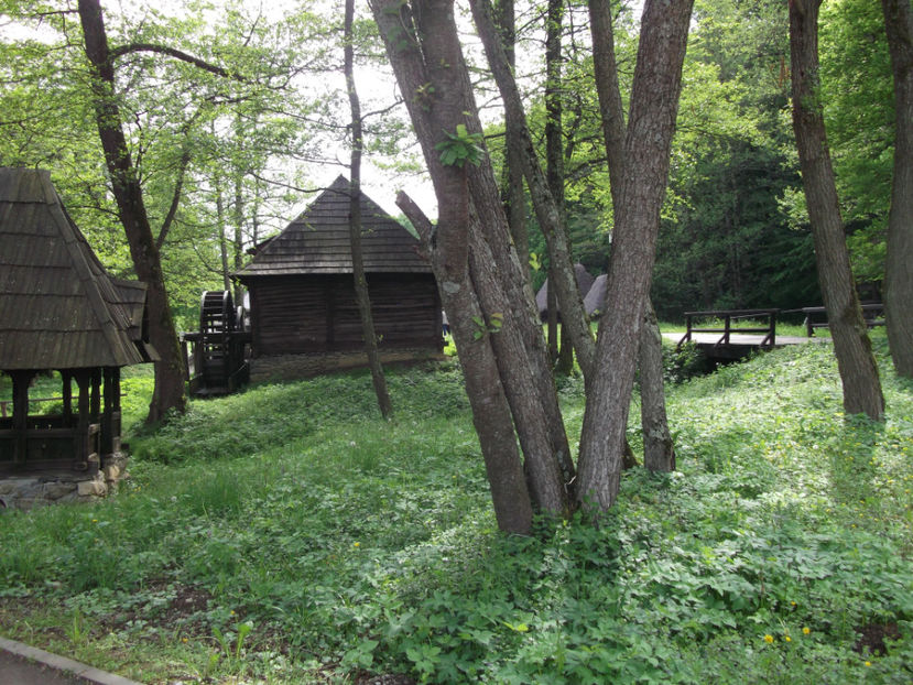  - Excursie de o zi in SIBIU