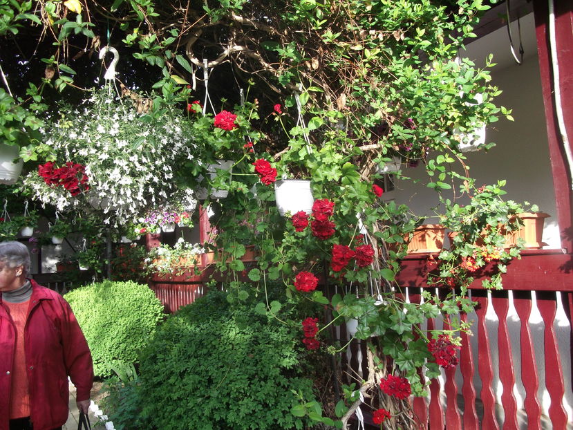  - Excursie de o zi in SIBIU