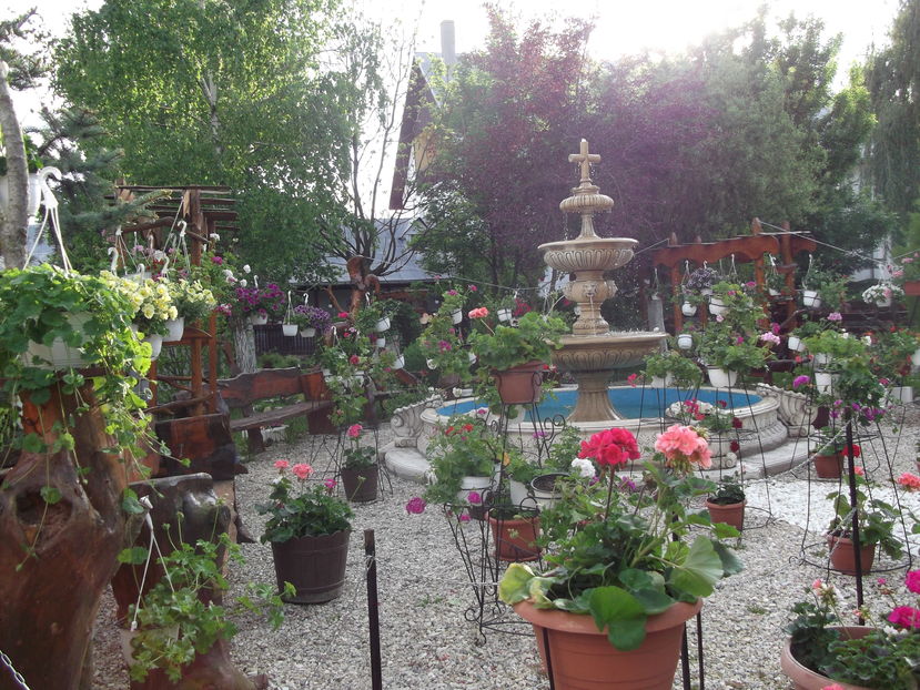  - Excursie de o zi in SIBIU