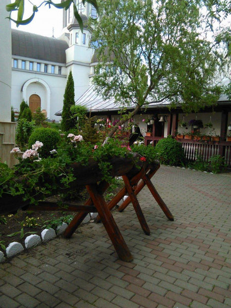 18452537_1557503357595455_378268208_o - Excursie de o zi in SIBIU