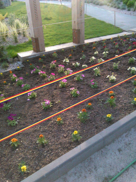 18406045_1557502437595547_308552589_o - Excursie de o zi in SIBIU