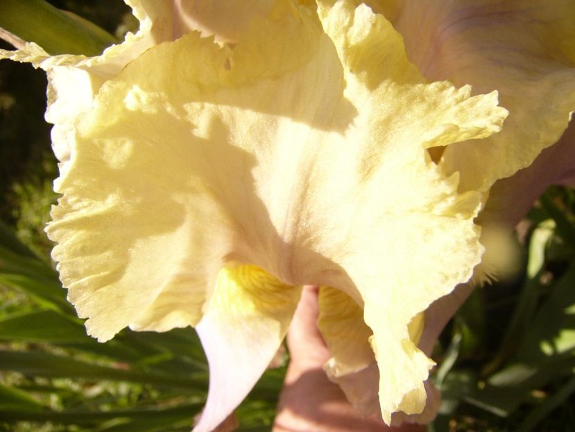 P1310695 - ANUL 2017 III