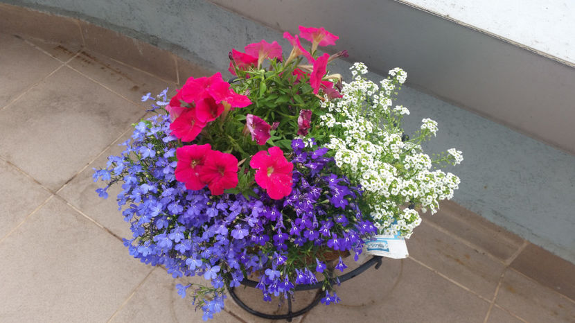 Aranjament floral - Terasa mea 2016