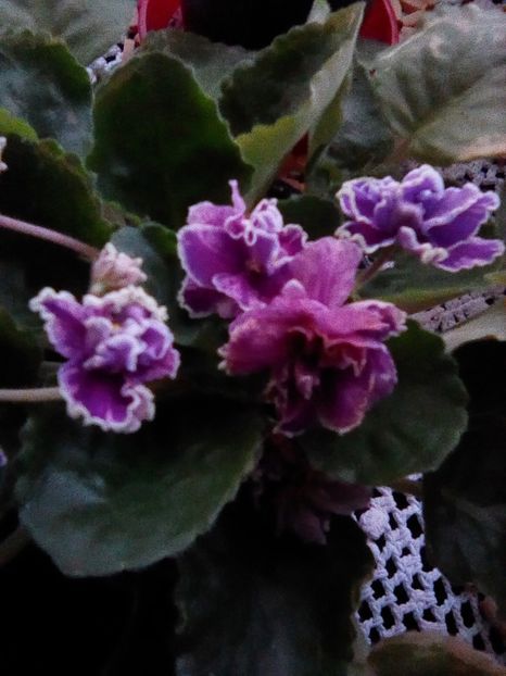 7 - la inceput de drum