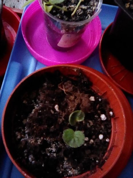 10 - la inceput de drum