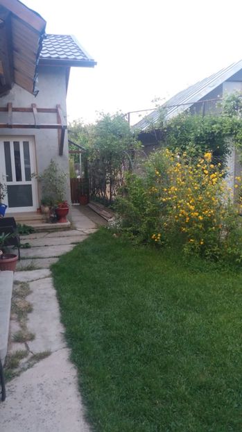  - De prin gradina 2017