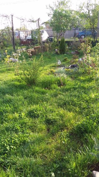  - De prin gradina 2017