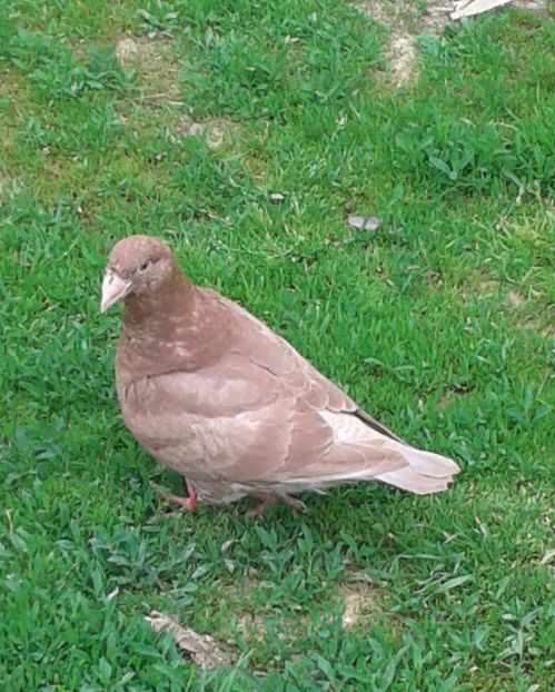 20170513_123524-1 - PUI 2017