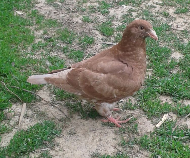 20170513_123556-1 - PUI 2017