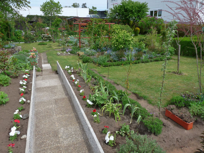 P2080882 - 2017 - 01 - Primavara