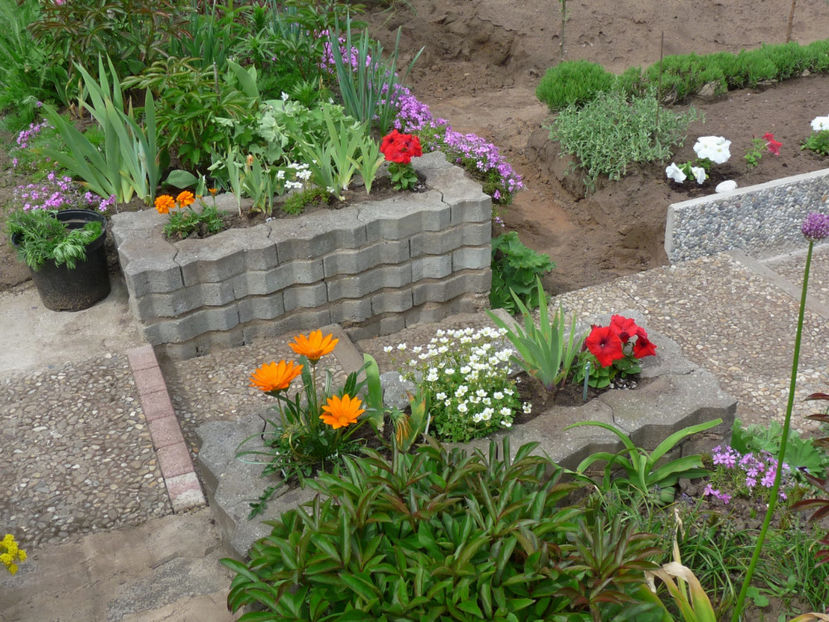 P2080901 - 2017 - 01 - Primavara