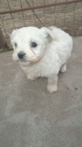  - PAZNICI CREDINCIOSI LA DATORIE