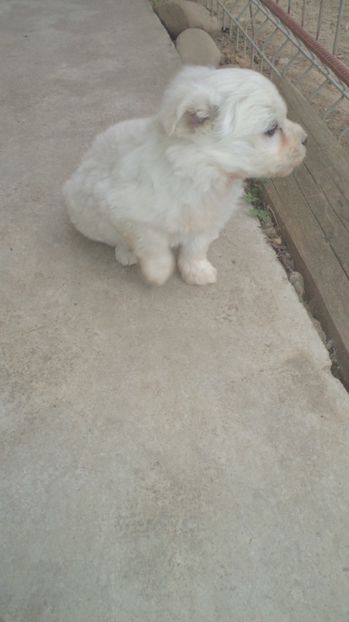  - PAZNICI CREDINCIOSI LA DATORIE