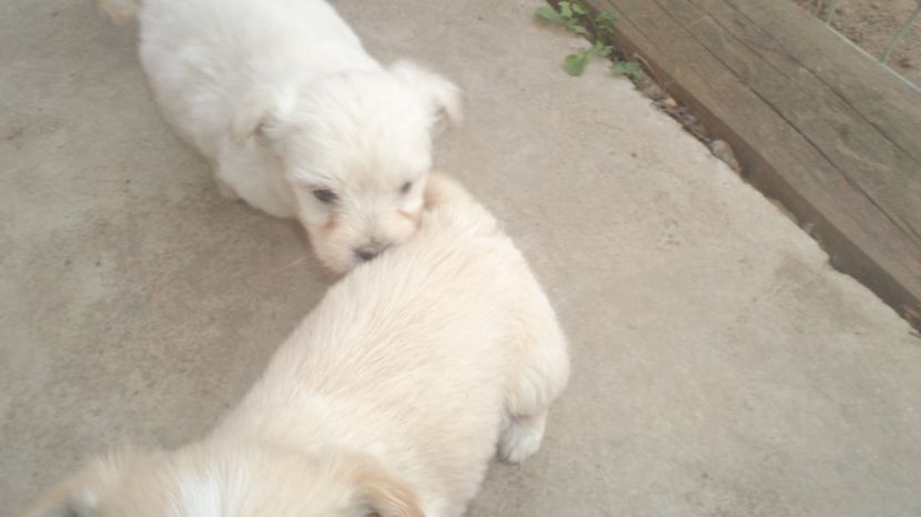  - PAZNICI CREDINCIOSI LA DATORIE