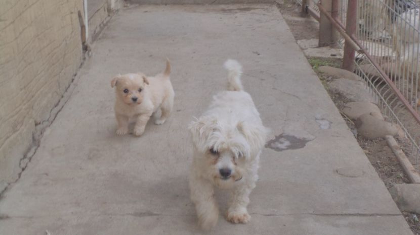  - PAZNICI CREDINCIOSI LA DATORIE