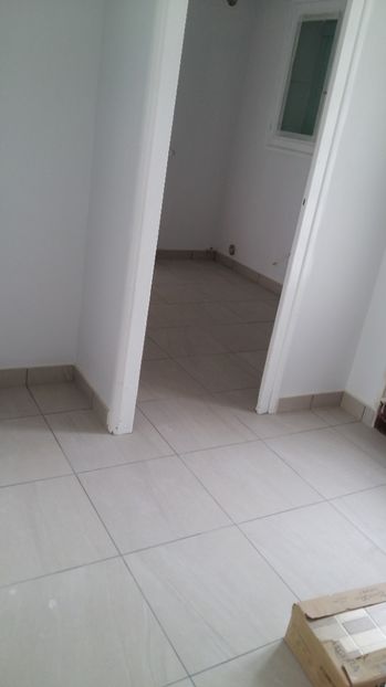  - O casa in renovare langa Lyon