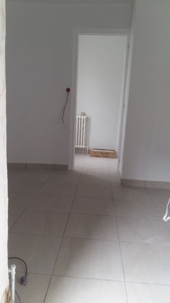  - O casa in renovare langa Lyon