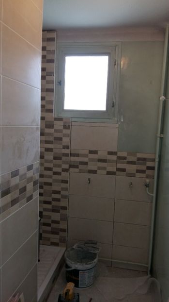  - O casa in renovare langa Lyon