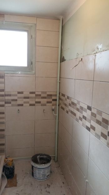  - O casa in renovare langa Lyon