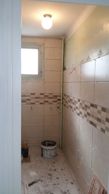  - O casa in renovare langa Lyon