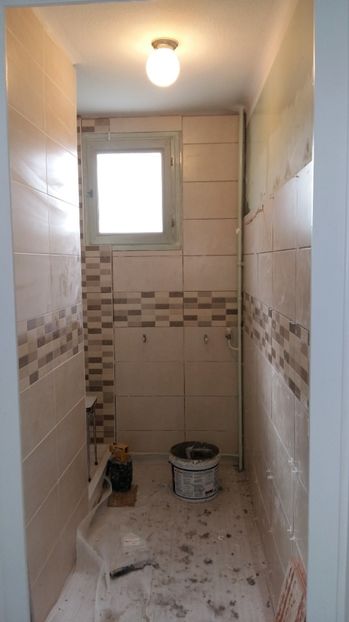  - O casa in renovare langa Lyon