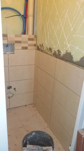  - O casa in renovare langa Lyon