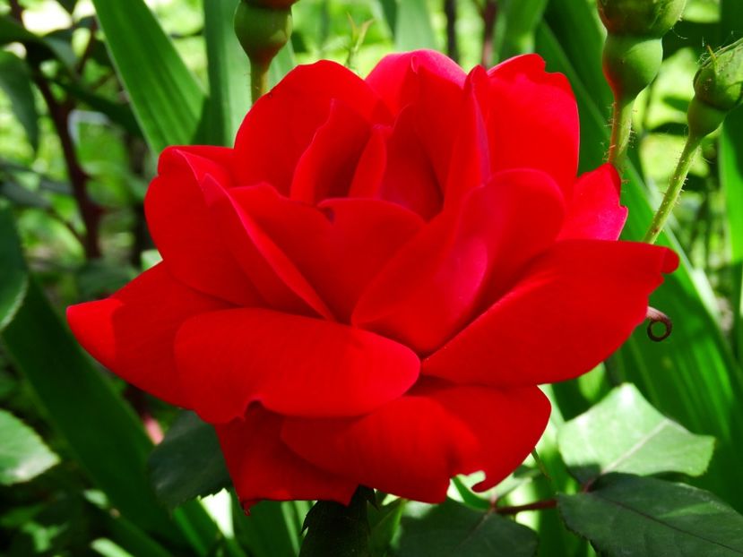 14 mai 2017 - Double Knouck Out