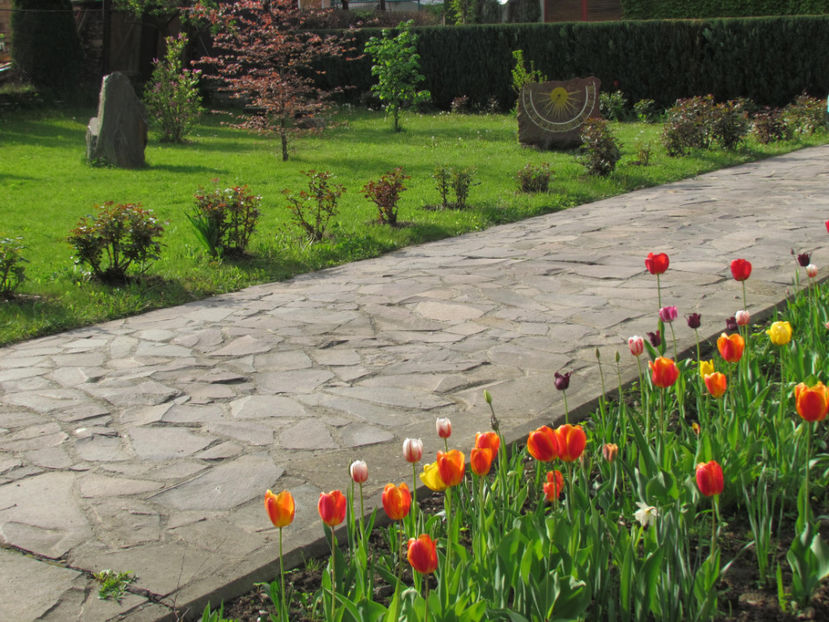 Mai 2017 451 - In Gradina