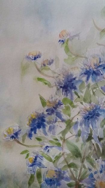  - Trandafiri si alte flori in acuarela