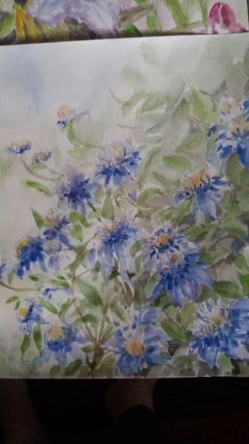  - Trandafiri si alte flori in acuarela