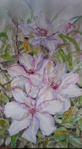  - Trandafiri si alte flori in acuarela