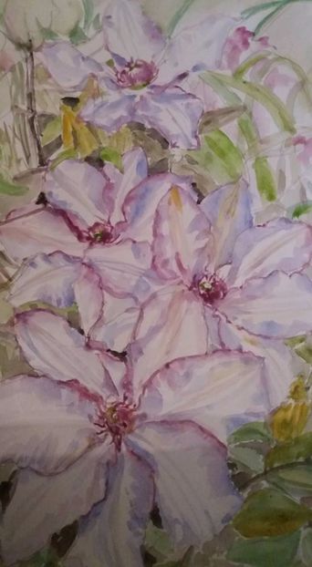  - Trandafiri si alte flori in acuarela