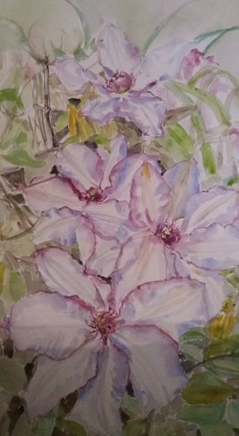  - Trandafiri si alte flori in acuarela