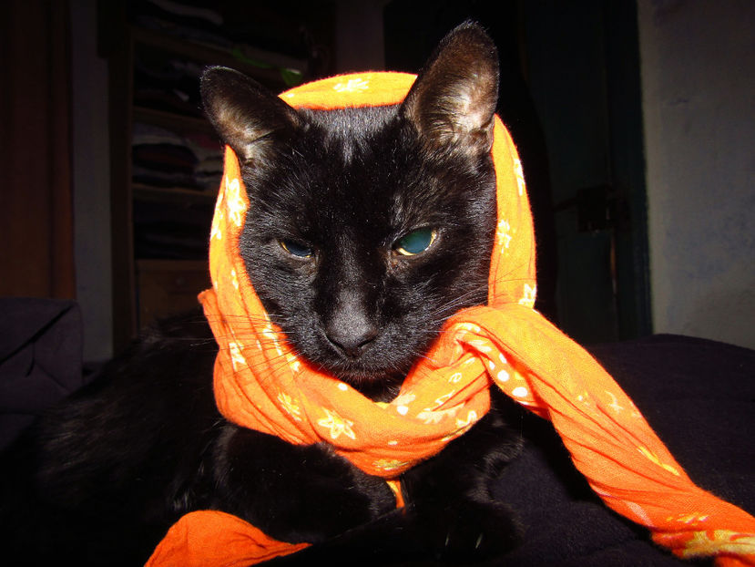 15 ian 2017 - Gigel - soricel