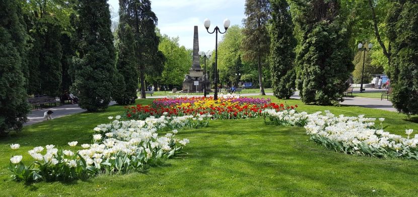26 aprilie, dupa ninsoare - z Prin oras si prin imprejurimi