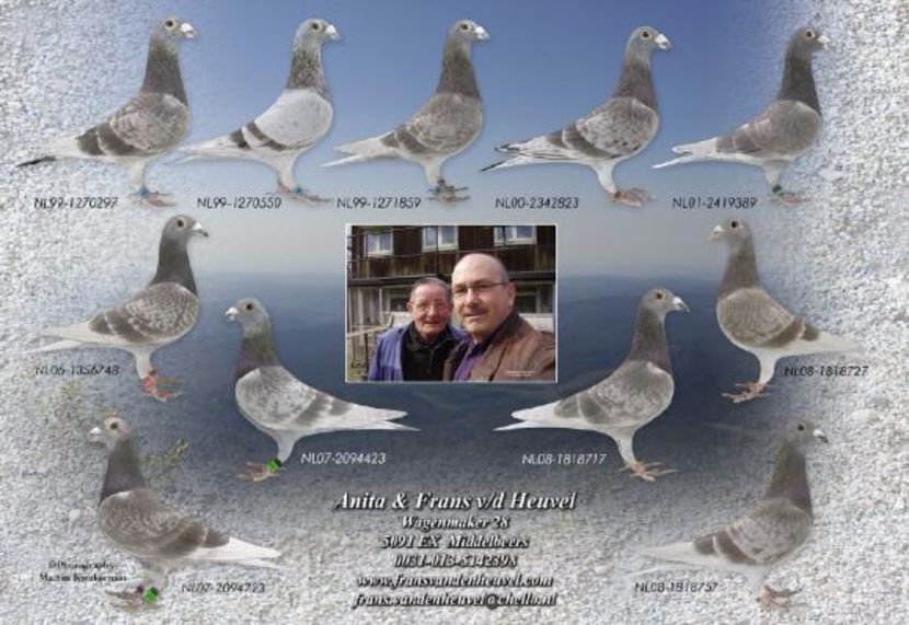 posterfhsmalla_579 - Dinastia Theelen