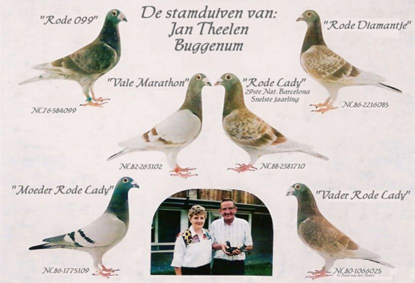 jan-theelen - Dinastia Theelen