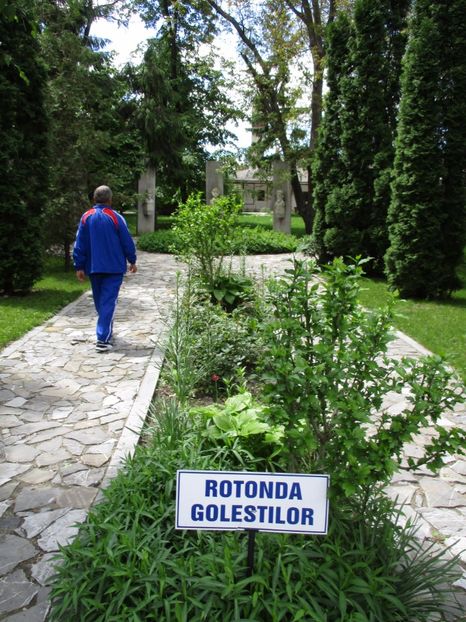  - 2017 - Pitești - 14 mai