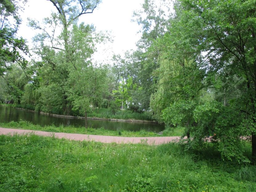  - 2017 - Pitești - 14 mai