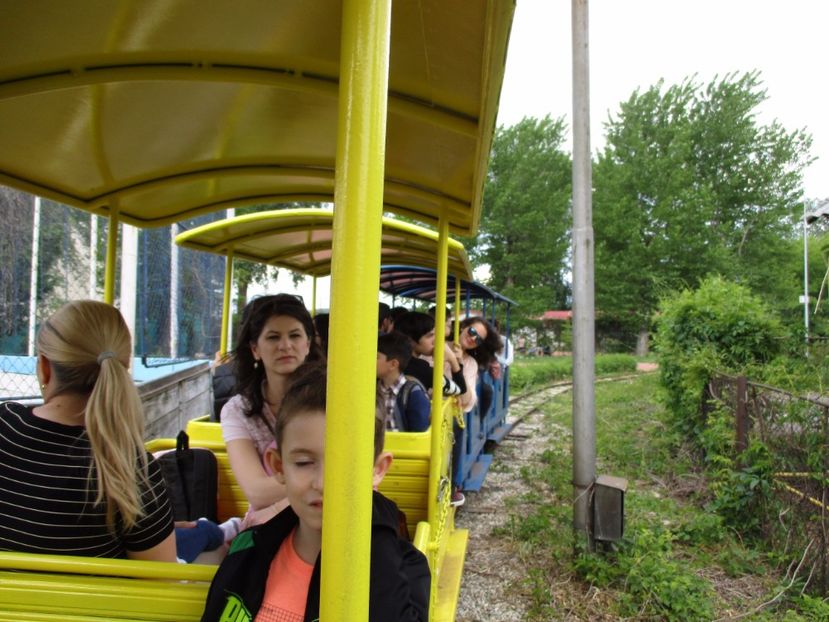  - 2017 - Pitești - 14 mai